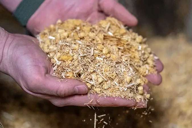 Mann hält Silage in der Hand