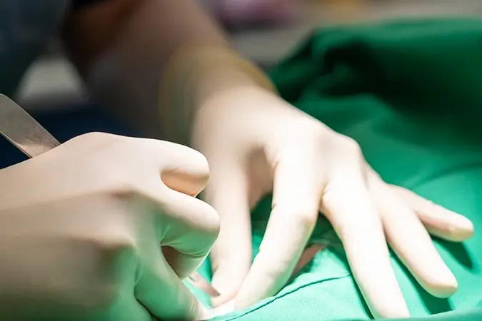 Tierarzt bei chirurgischem Eingriff eines Kleintieres