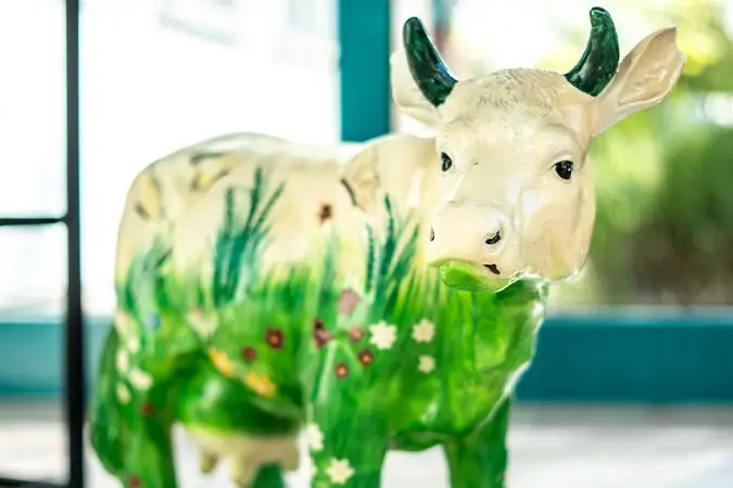 Kuh aus Plastik bunt angemalt in der Praxis