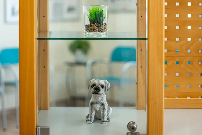 Glasvitrine im Wartebereich der Tierarztpraxis mit Tierfiguren und Blumen