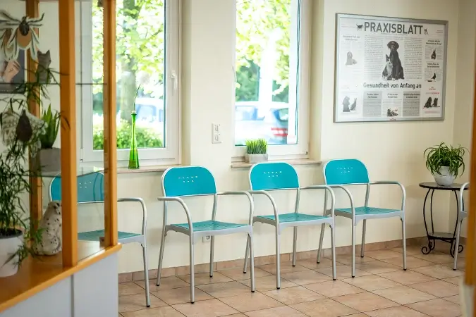 Wartebereich in der Tierarztpraxis Lüllmann mit Infos an der Wand und Grünpflanzen