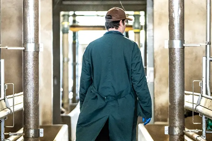 Tierarzt im Maststall